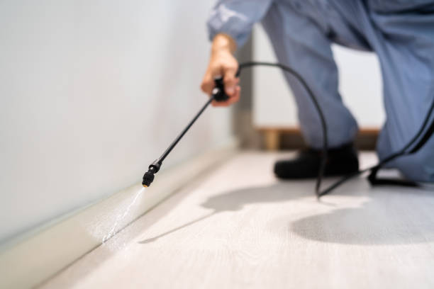 Licensed Rodent Control service in Wayne County County, IL - Nex Pest Control