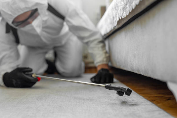 Professional Rodent Control technician working in Wayne County County, IL
